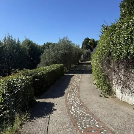 Scappo In Umbria, Elena Villa